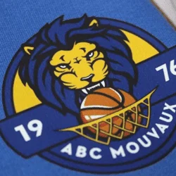 Impression-sweat-personnalisé-pour-club-de-basketball